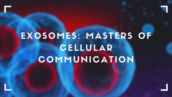Exosomes: Masters of Cellular Communication